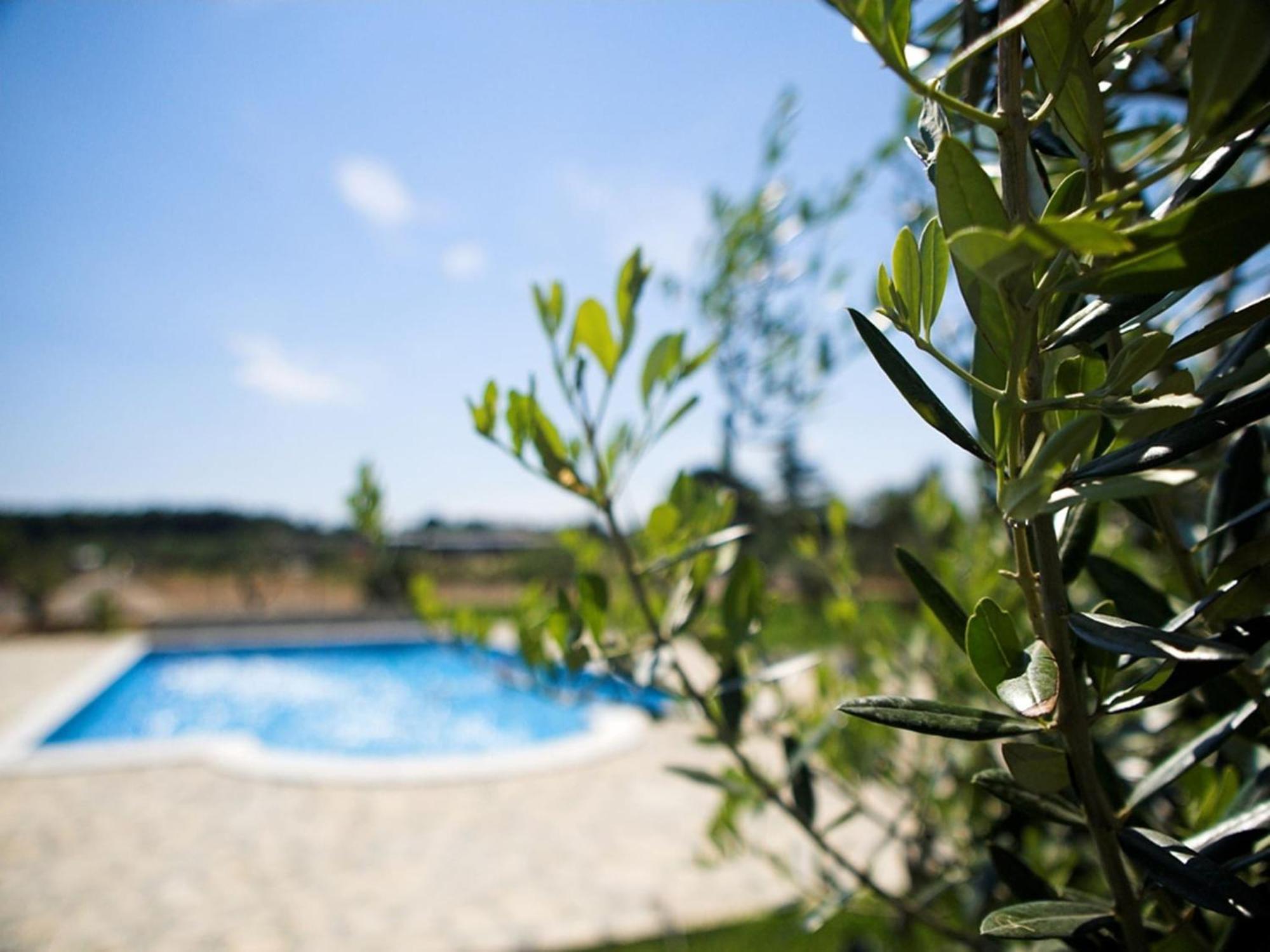 Marceta - Apartments & Rooms With Swimming Pool Фажана Экстерьер фото
